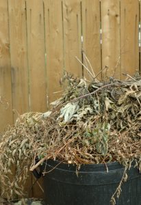 Garbage can filled with brush and leaves